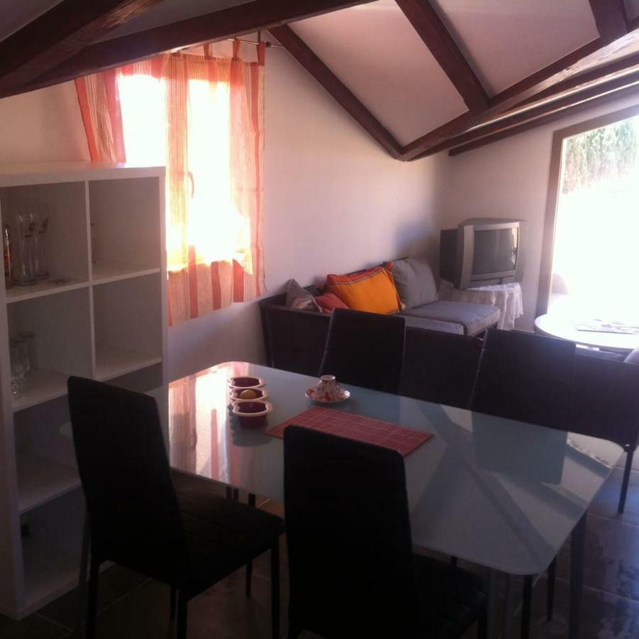 Delfin Apartment Новиград Екстериор снимка