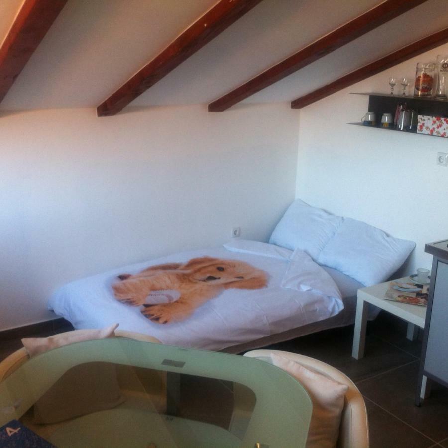 Delfin Apartment Новиград Екстериор снимка